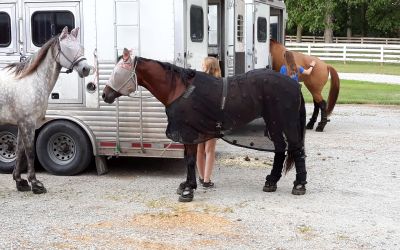 One of our clients unloading their horses.
