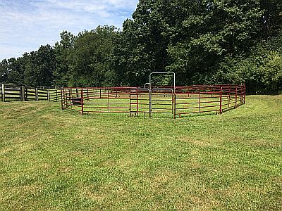 Pastures, paddock & round pen at Platsburg Equine Center