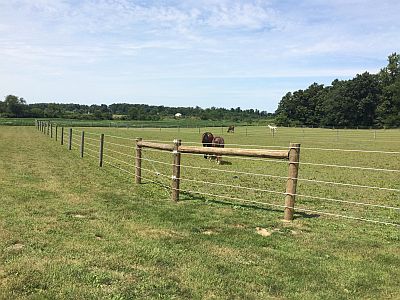 Pastures, paddock & round pen at Platsburg Equine Center