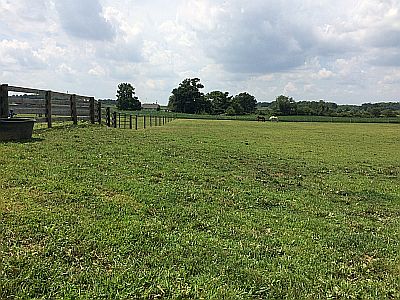 Pastures, paddock & round pen at Platsburg Equine Center